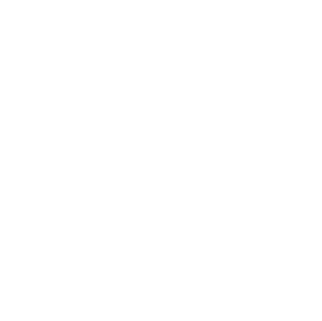 Bora Corp